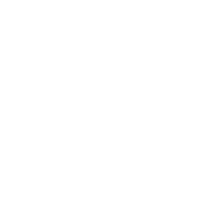 Neem logo design